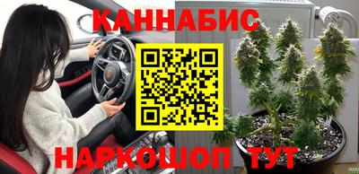 прущий лед Славгород