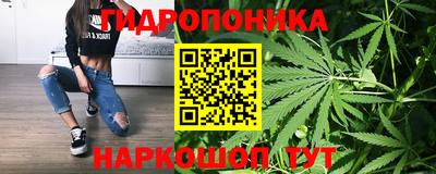 трава Славянск-на-Кубани