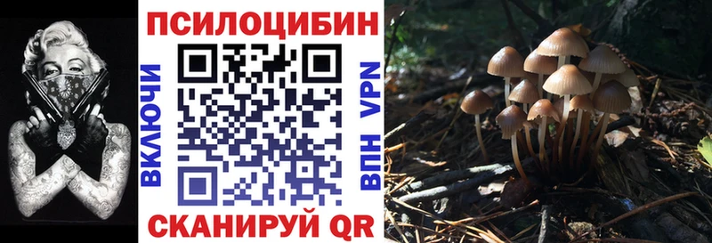 Псилоцибиновые грибы Psilocybine cubensis  Старая Купавна 