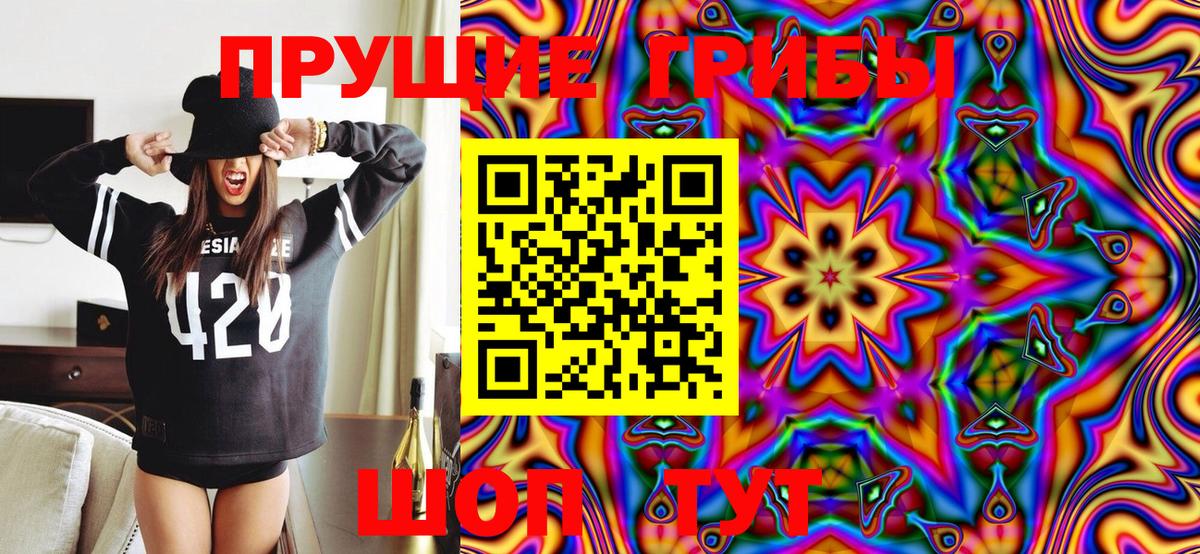 Старая Купавна  Псилоцибиновые грибы Psilocybe  Вход с VPN 