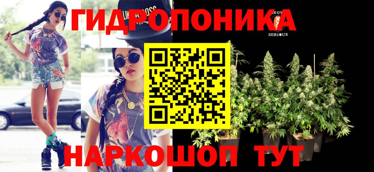 Конопля сатива Старая Купавна